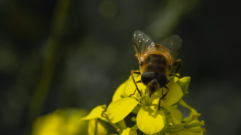 API 게이트웨이에서 엔드포인트별 로그 예시 다이어그램