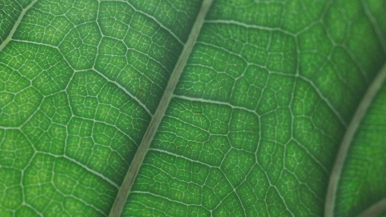 인터포저와 오가닉 서브스트레이트 전력·레이턴시 비교