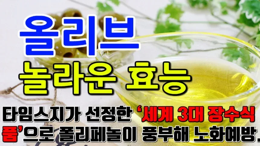 식탁 위 올리브오일 병
