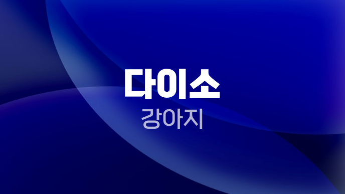 다이소 강아지