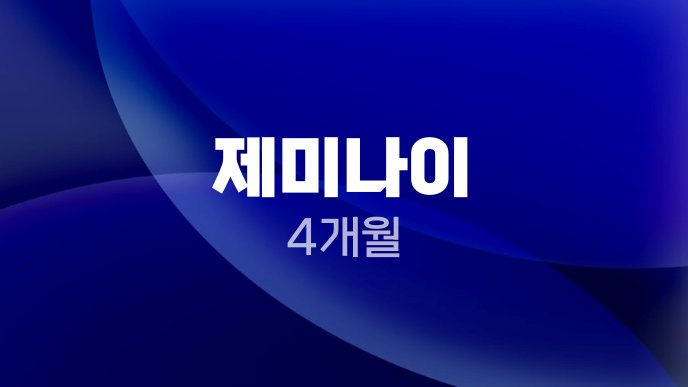 제미나이 4개월