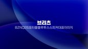 현재 이미지: 브리츠 BZ-NQ26 포터블 블루투스 스피커 대표 이미지