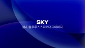 현재 이미지: SKY 붐 A1 블루투스 스피커 대표 이미지