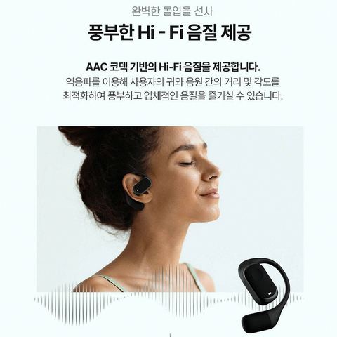 블라우풍트 BLP-OE383K 블루투스 이어폰 구매