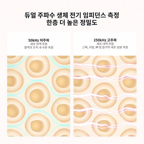 샤오미 인바디 체중계 MJTZC01YM 설치 모습