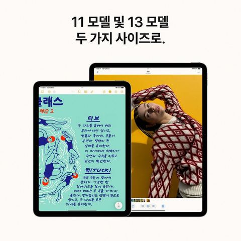 아이패드 에어 13 M3 1TB 구매