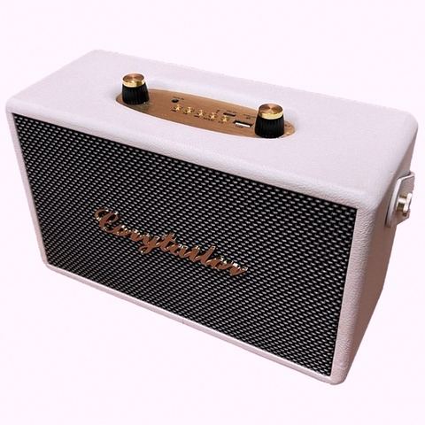 코지테일러 CT-20W TWS EQ모드 블루투스 스피커 제품 이미지