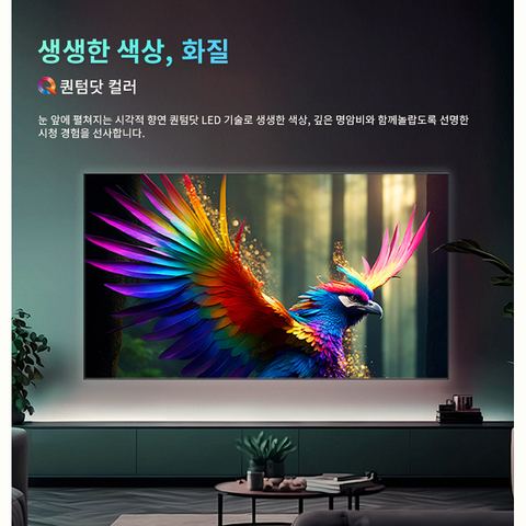 하이센스 75인치 4K QLED 스마트TV 75Q6N 리뷰